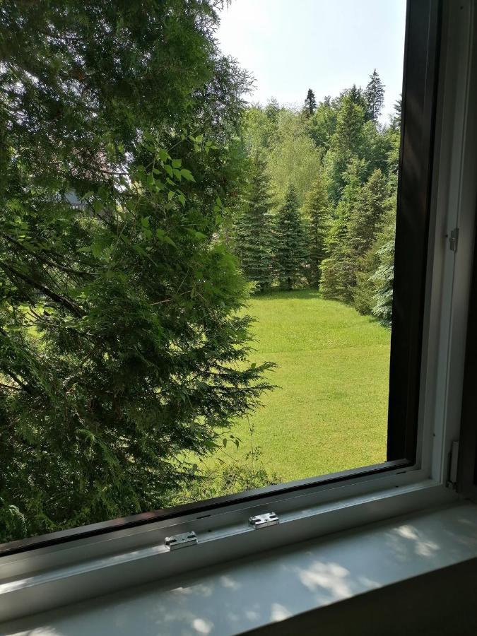 Haus Aschau Lejlighed Bad Ischl Eksteriør billede